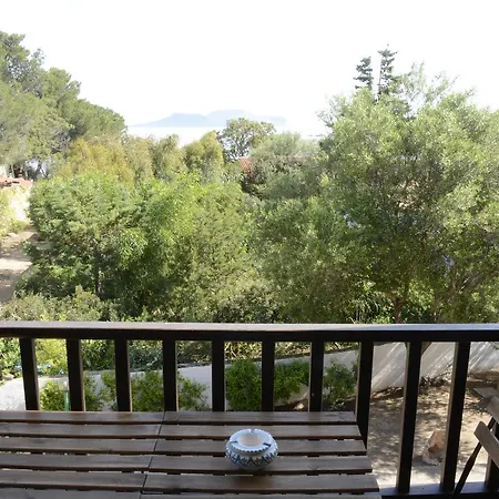 Summer Bunte 3* מורתה מריה