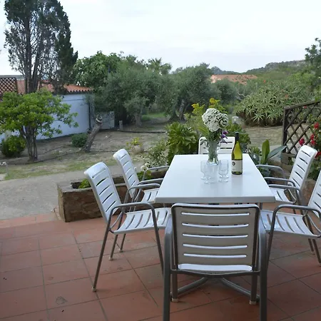 Summer Bunte מורתה מריה