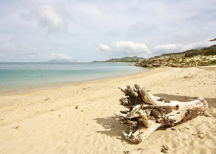 Summer Bunte 3* Murta Maria